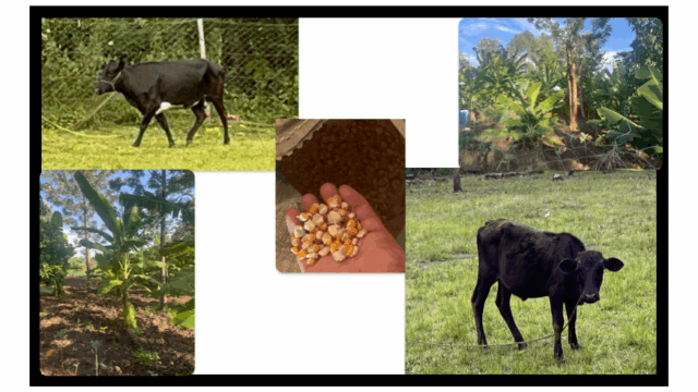 Agriculture