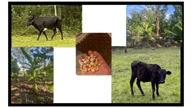 Agriculture
